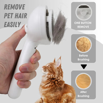 Cat steam brush