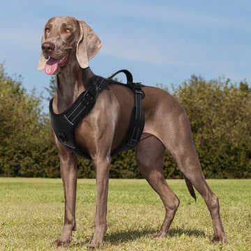 Tactical No-Pull Dog Harness with Handle & Reflective Strips - Padded Vest for Control, Anti-Pull Walking, and Outdoor Safety
