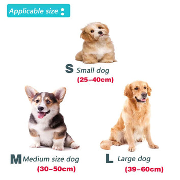 Reflective Dog Pet Towing Rope Guard Rope Collar set Pet Walking Training Leash Small And Medium Cats Dogs Harness Collar Strap