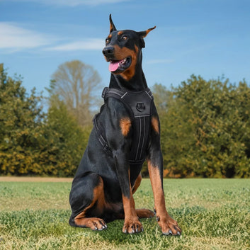 Tactical No-Pull Dog Harness with Handle & Reflective Strips - Padded Vest for Control, Anti-Pull Walking, and Outdoor Safety