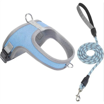 Dog Harness and Leash Set