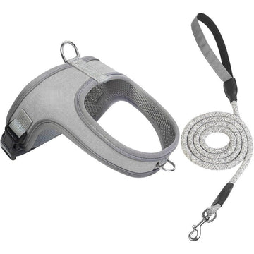Dog Harness and Leash Set